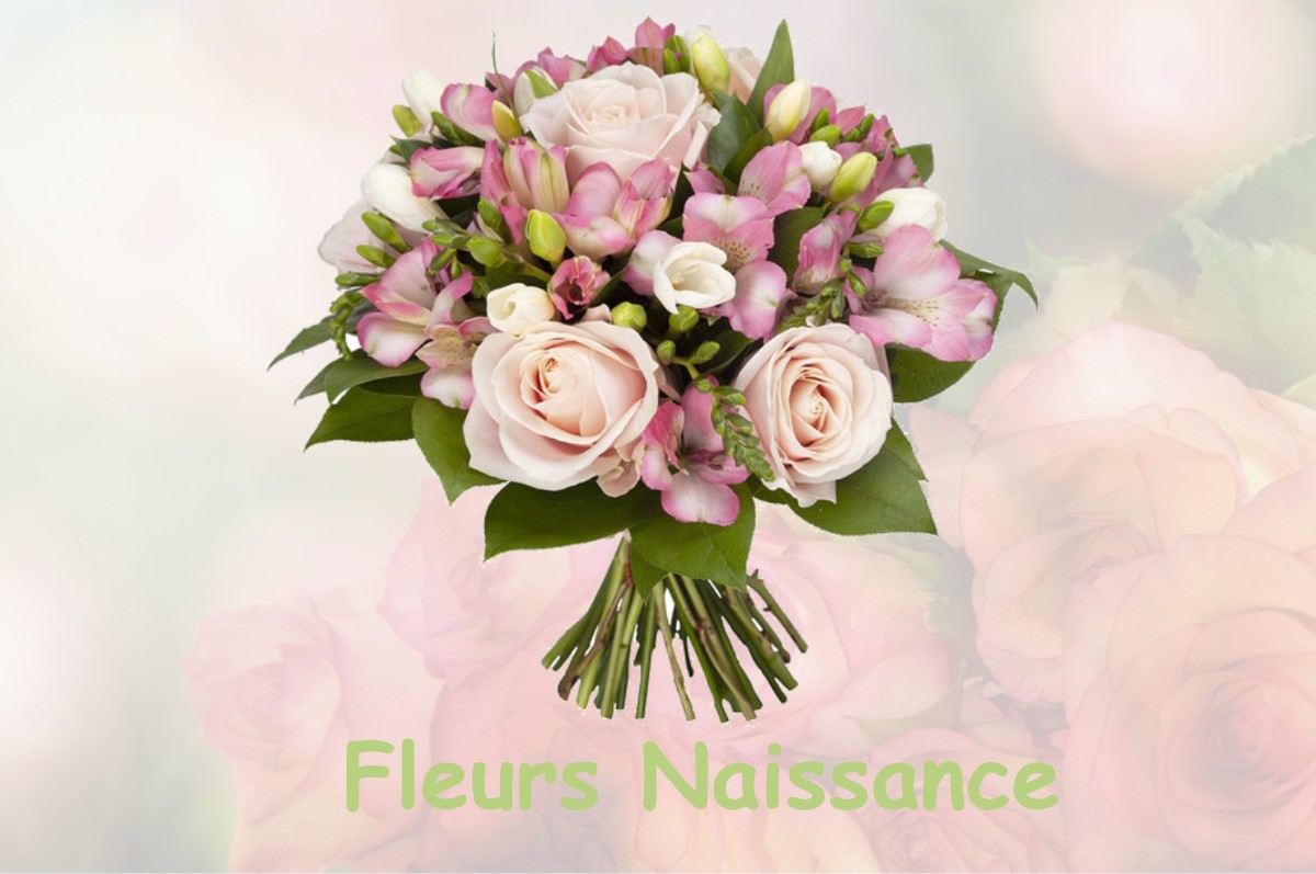 fleurs naissance LA-VILLENEUVE-BELLENOYE-ET-LA-MAIZE